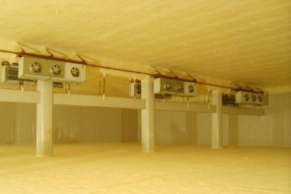 石家莊小型水果冷庫(kù)廠家